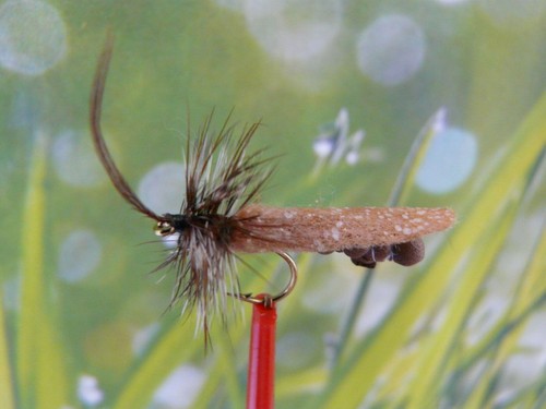 Trockenfliege brown extendet - trockenfliege,