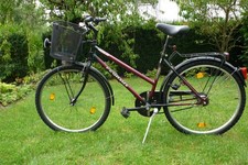 PEGASUS  7- Gang Damenfahrrad