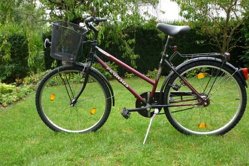 Pegasus gang damenfahrrad - pegasus,