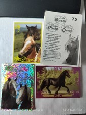 211 Sticker Geliebte Pferde von Panini 2008 mit Glitzer + Poster Sticker