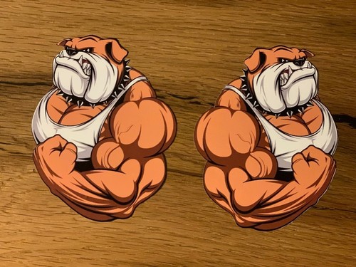 Pitbull aufkleber sticker - 2x,