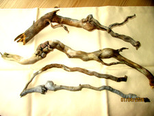 Treibholz Schwemmholz,  4