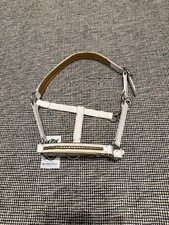 mini shetland kopf halsband