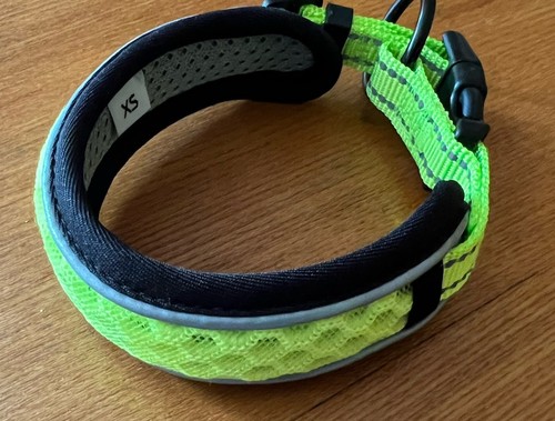 Hunde halsband gefüttert - hunde, halsband,
