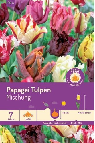 Herbstblumenzwiebeln papagei - herbstblumenzwiebeln,
