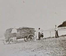 Heuernte Heuwagen mit Kindern Feldarbeitern Bsuern Landarbeiter Acker Feld Foto