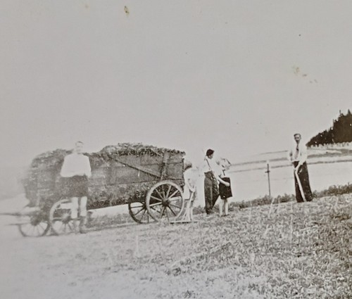 Heuernte heuwagen mit kindern - heuernte,