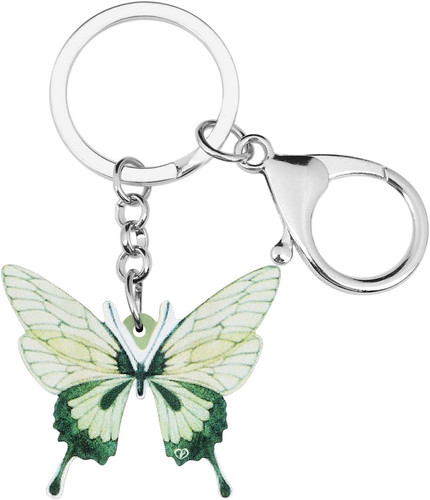 Blau morpho schmetterling - blau,