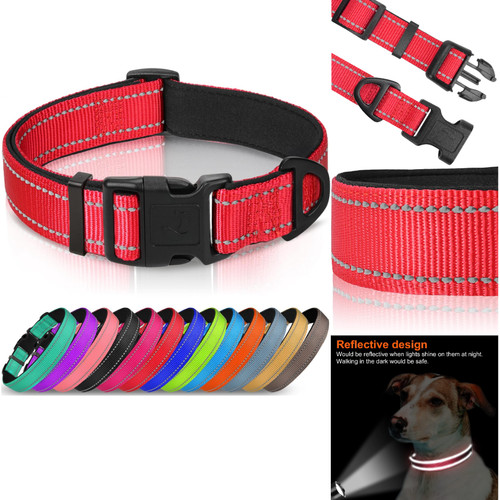 Hundehalsband neopren nylon - neopren,