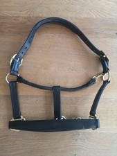 Lederhalfter Schwarz Gr. COB