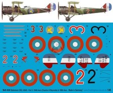 Peddinghaus 1/48 Salmson 2 A.2