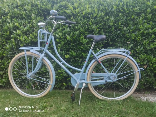 Hollandrad ortler cargo van - hollandrad,