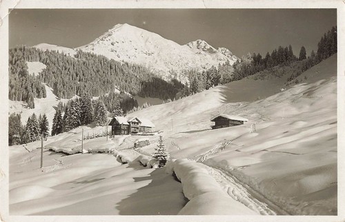 162446 österreich ak - 162446),