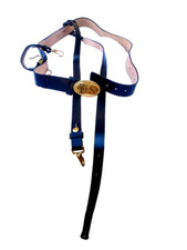 US Bürgerkrieg Kavallerie