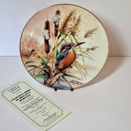 Eisvogel teller hamilton - eisvogel,