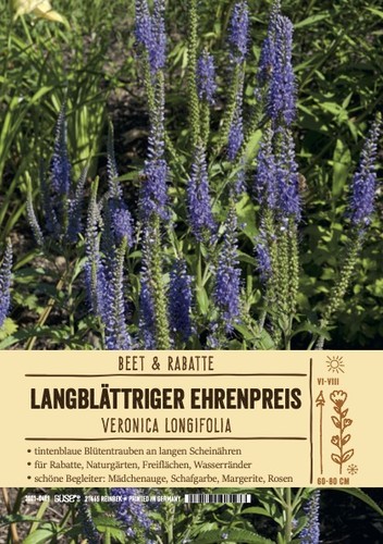 Veronica longifolia