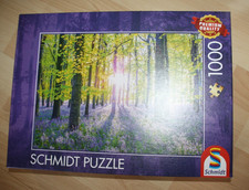 Zarte Glockenblumen im Wald