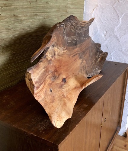 Treibholz schale skulptur - schale,