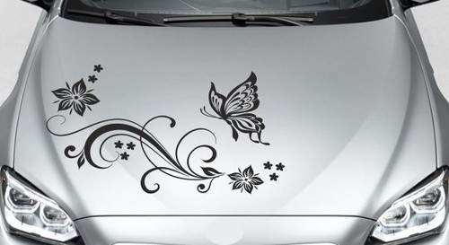 Aufkleber motorhaube auto - motorhaube, car