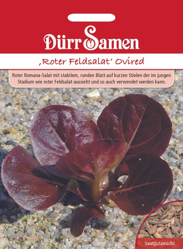 Roter feldsalat ovired saatgut - ovired,