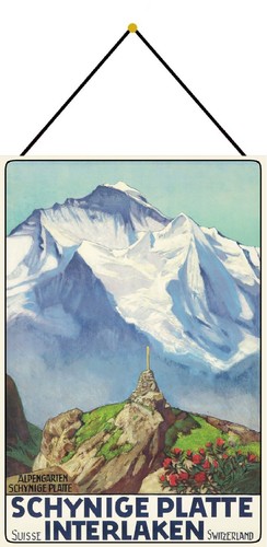 Blechschild 20x30 historisches