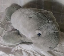 Walt Disney World Seekuh