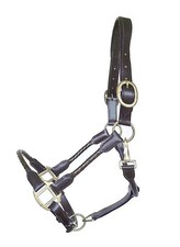 Lederhalfter Tessa  Braun messing  geflochten komfortabel gepolstert Halfter