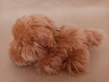 The dog artist collection -