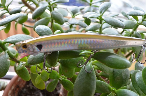 Wobbler popper pop jerkbait - wobbler,