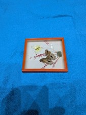 VINTAGE Schmetterlings-Schaukasten / Insektenkachel  Echte Falter Orange Retro 