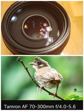tamron 70 300 fur nikon afs