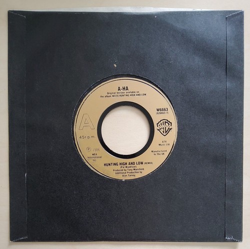 Vintage vinyl records - vintage,