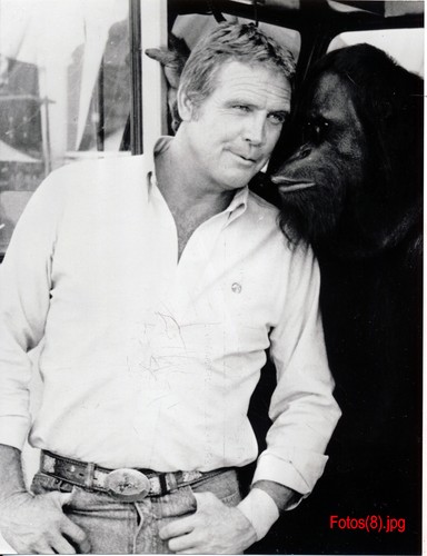 Lee majors ein colt für - -,