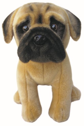 Zoll bullmastiff teddy - zoll,