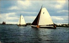 FRIESLAND Holland Skutsjesilen 2 Segelboote Segeln Boote Postkarte Ansichtskarte