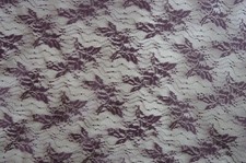 Lace,  Spitze, elastisch