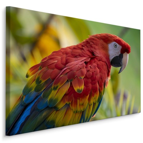 Canvas leinwand bilder - bilder, xxl