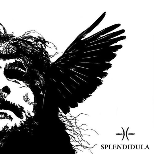 Audio neu splendidula - splendidula,