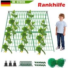 Gurke Rankhilfe Rankgitter