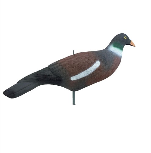 Taubenmuschelköder extra