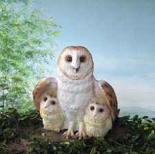 Eule Schleiereule mit 2 Jungen