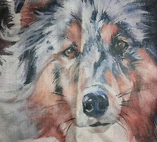 Tischset Platzset - 2 Platzdeckchen - Hund Collie Langhaarcollie Lassie