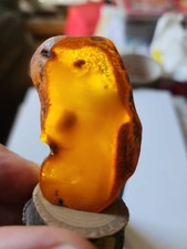 Bernstein Ostsee 15.41 Gramm