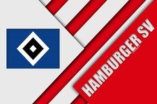 HSV-Fahnen-Set 2. Je 60cm x