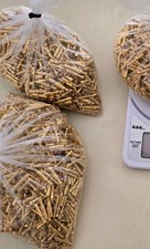 Goldpins Vollvergoldete