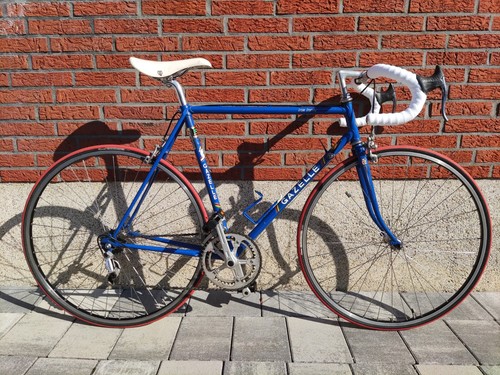 56cm gazelle trim trophy - 56cm,