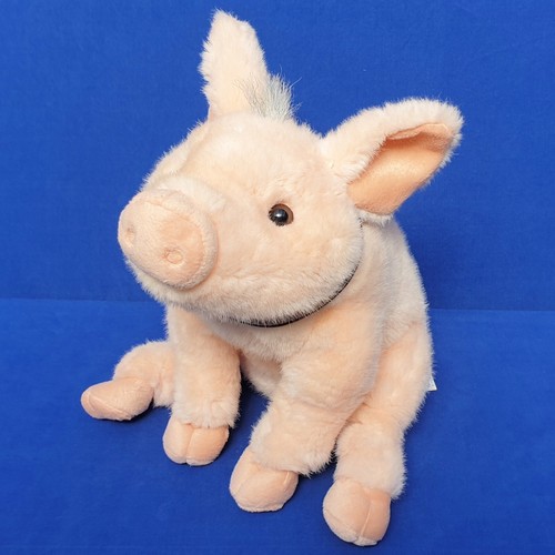 Aliki direkt schwein ferkel - schwein,