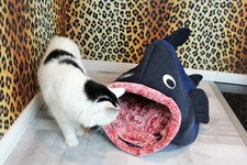 Katzenhöhle als Fisch mit Kissen UNIKAT