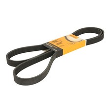 Keilrippenriemen CONTINENTAL