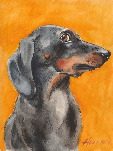 Original aquarell dackel - aquarell,,
